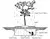Blue Thumb Short Weeping Willow- Complete Kit