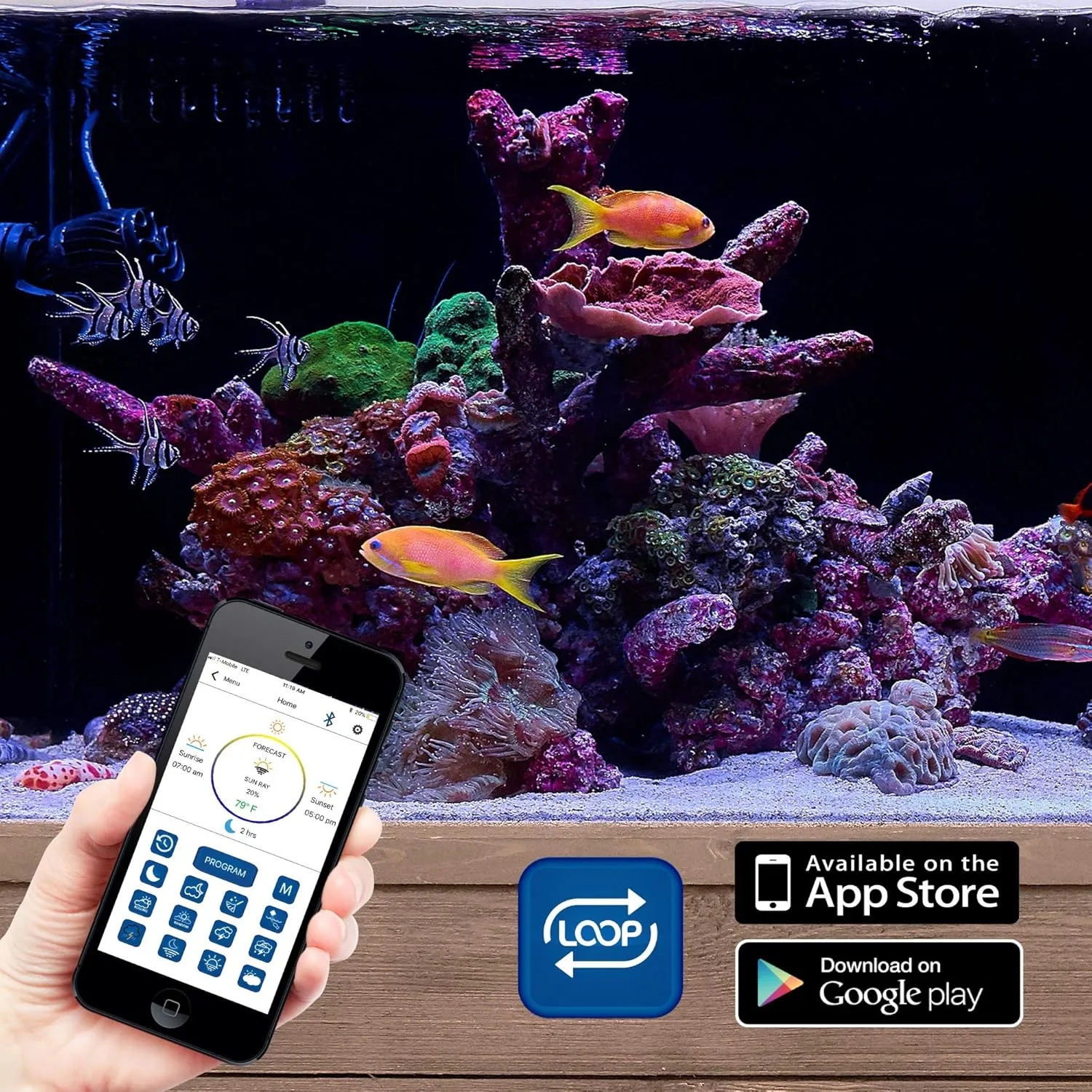 CURRENT USA PRO Dual 24-36" Inch Orbit Marine IC Loop LED Saltwater Reef Marine Aquarium Light with Bluetooth App Control | Wireless Lighting & eFlux Wave Pump Control for Fish Tank (4335)