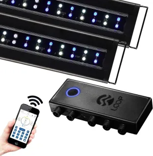 CURRENT USA PRO Dual 24-36" Inch Orbit Marine IC Loop LED Saltwater Reef Marine Aquarium Light with Bluetooth App Control | Wireless Lighting & eFlux Wave Pump Control for Fish Tank (4335)