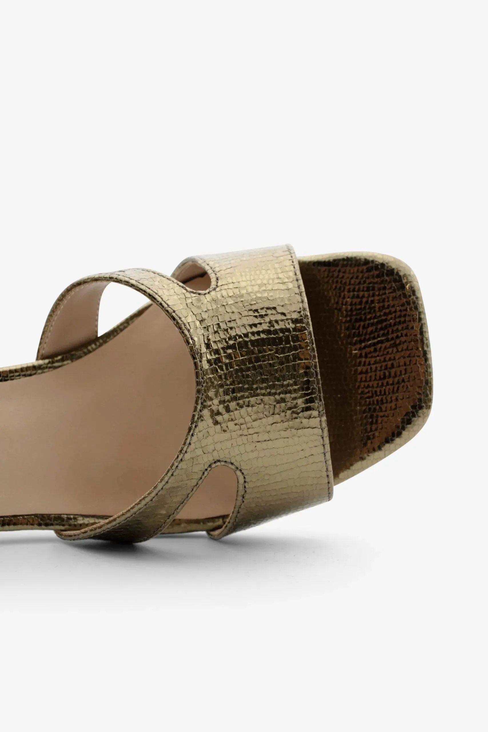 MONICA-02 Olive