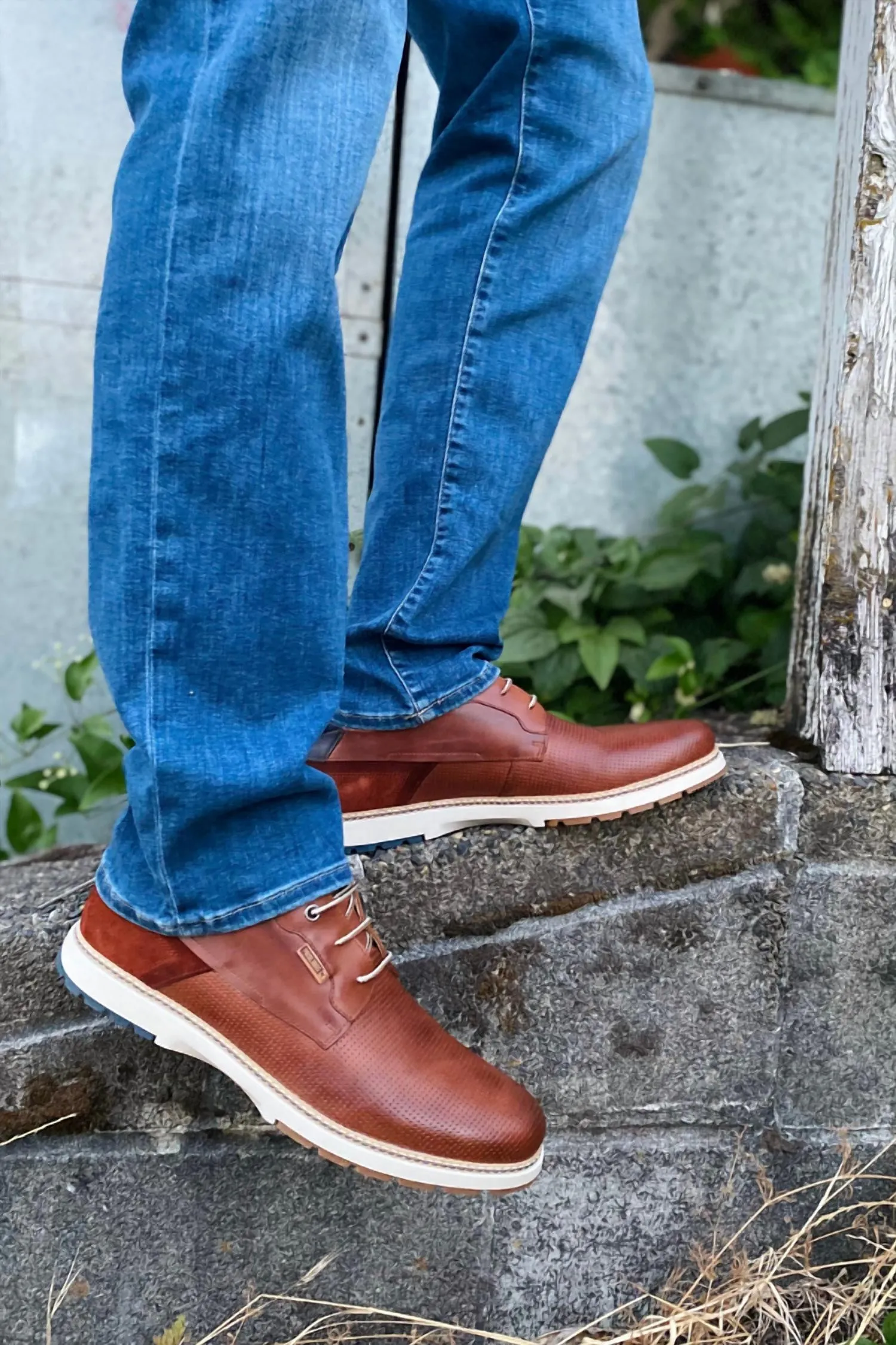 Pikolinos - Men's Olvera Shoe