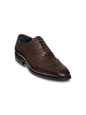 Watson Oxford - Dark Brown