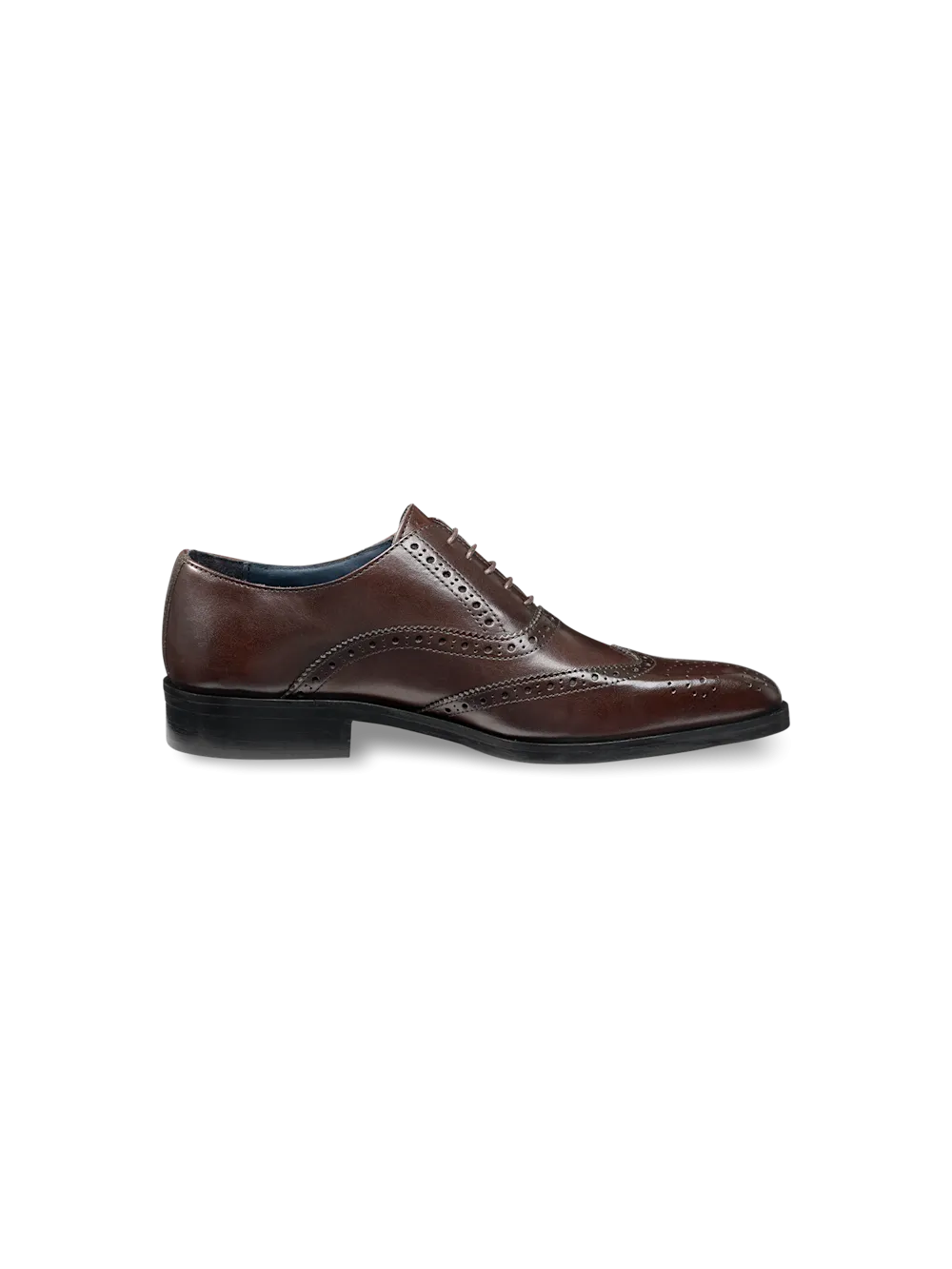 Watson Oxford - Dark Brown
