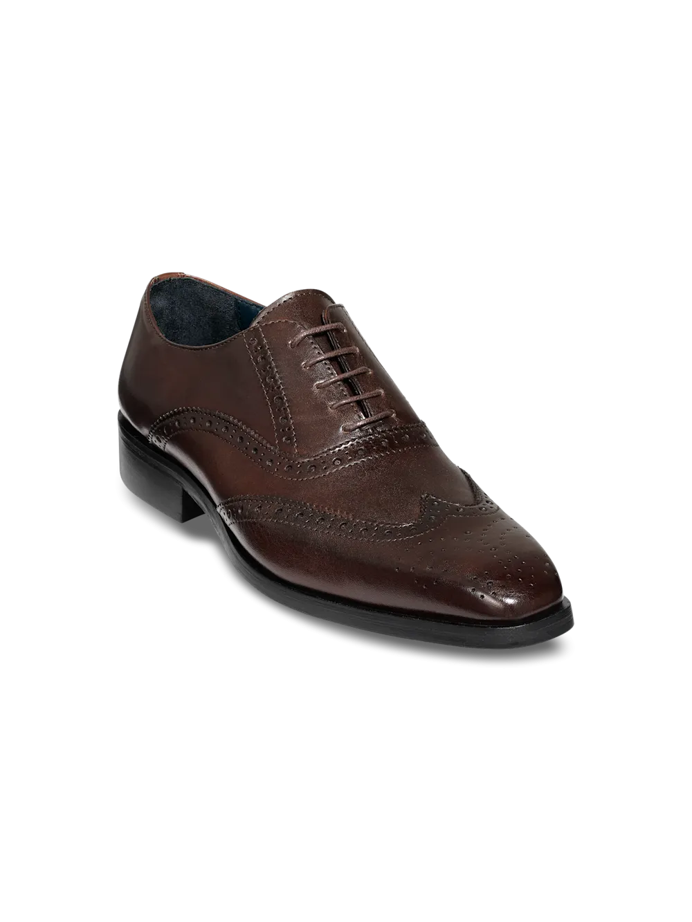 Watson Oxford - Dark Brown
